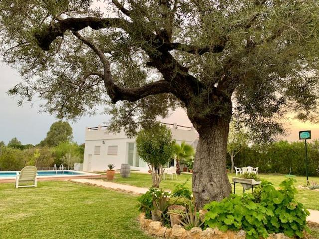 Joju Holiday home